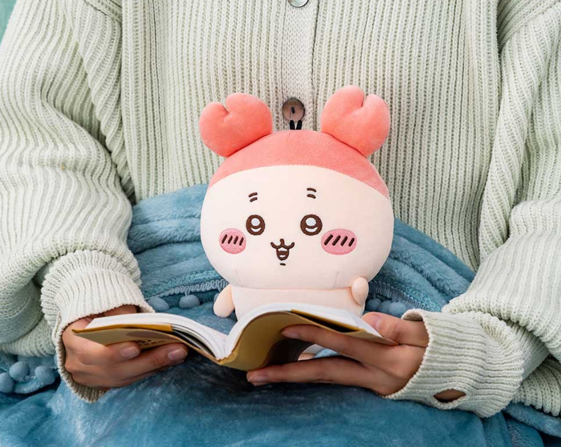 Chiikawa Furuhonya Plush S size Height 22cm approx Direct from Japan